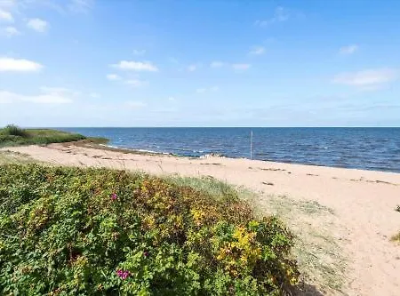 C11179-hemmet-ranunkelvaenget-6